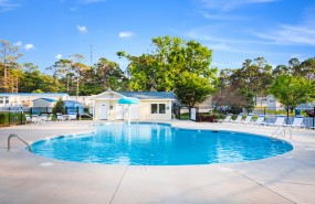 Bogue Pines