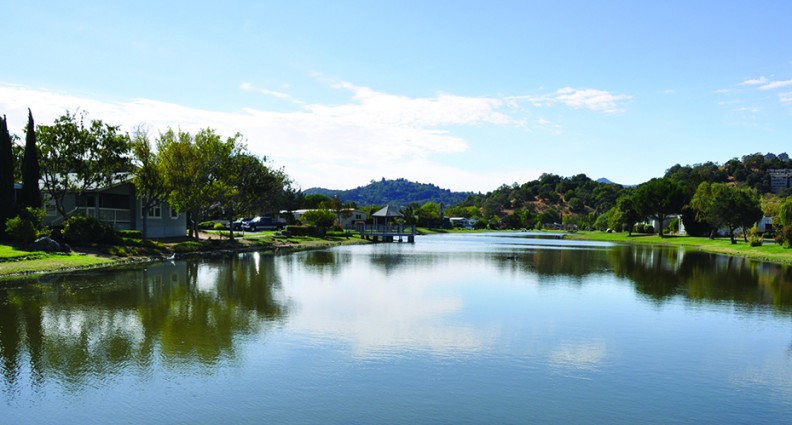 Contempo Marin Mobile Homes
