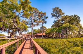 Colony Cove