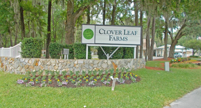 Clover Leaf Farms