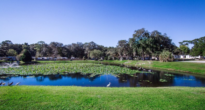The Villas at Spanish Oaks Mobile Homes