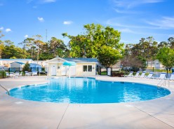 Bogue Pines