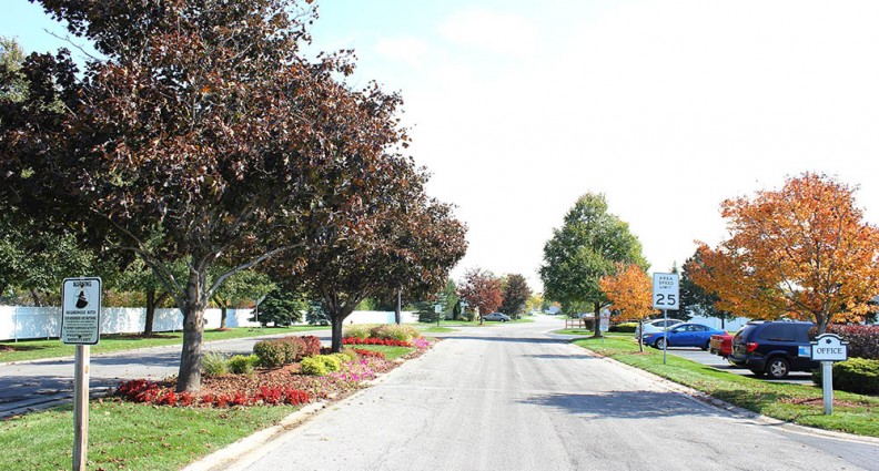 The Woodlands
