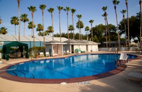 Alamo Palms