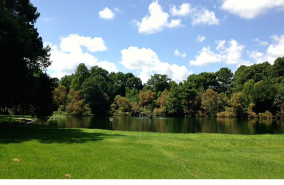 Foxwood Farms
