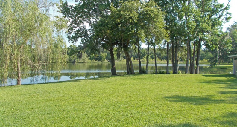 Clover Leaf Farms