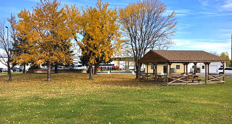 Meadow Park