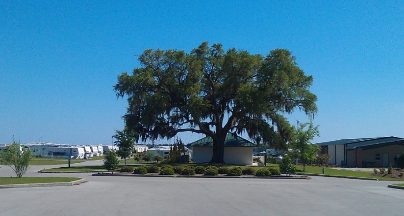 White Oak Shores