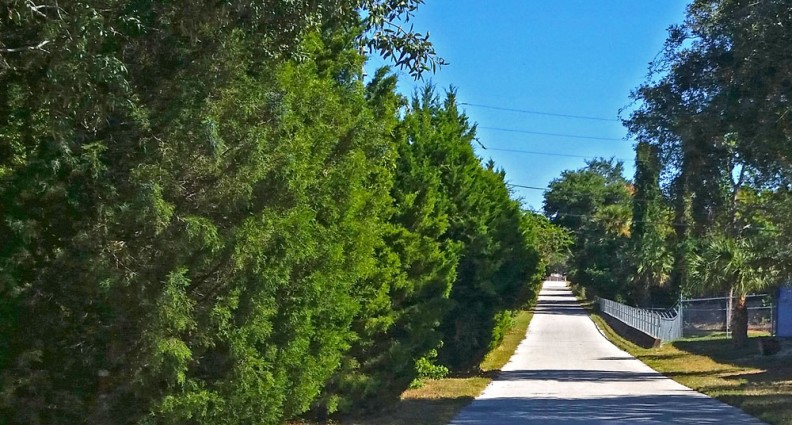 Tarpon Glen Mobile Homes