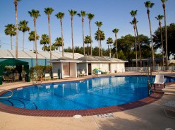 Alamo Palms