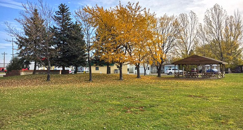 Meadow Park