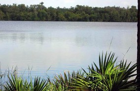 Lake Magic RV Resort