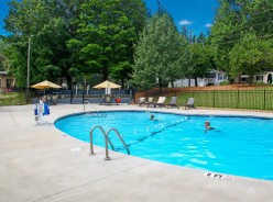 Scenic Resort