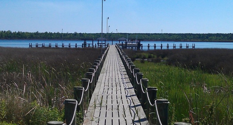 White Oak Shores