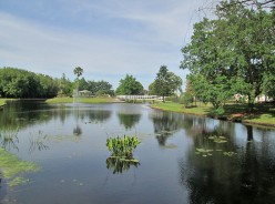 Country Place    